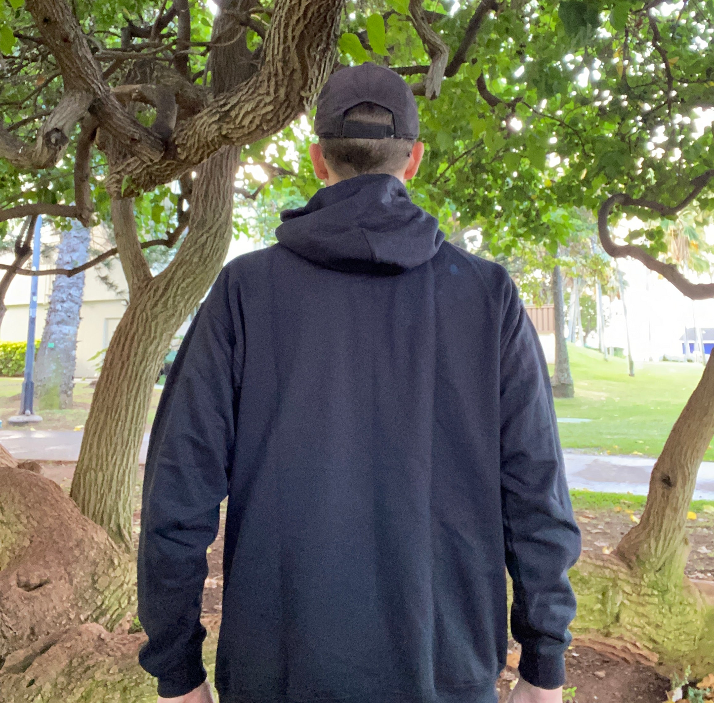 “Color Schemes” hoodie